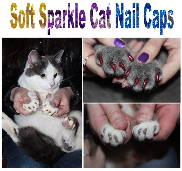 Purrdy Paws Soft Nail Caps for Cat Claws HOT Pink India | Ubuy